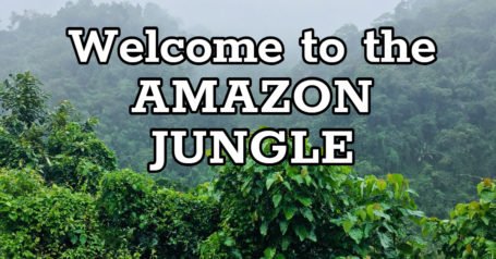 amazonjungle图片